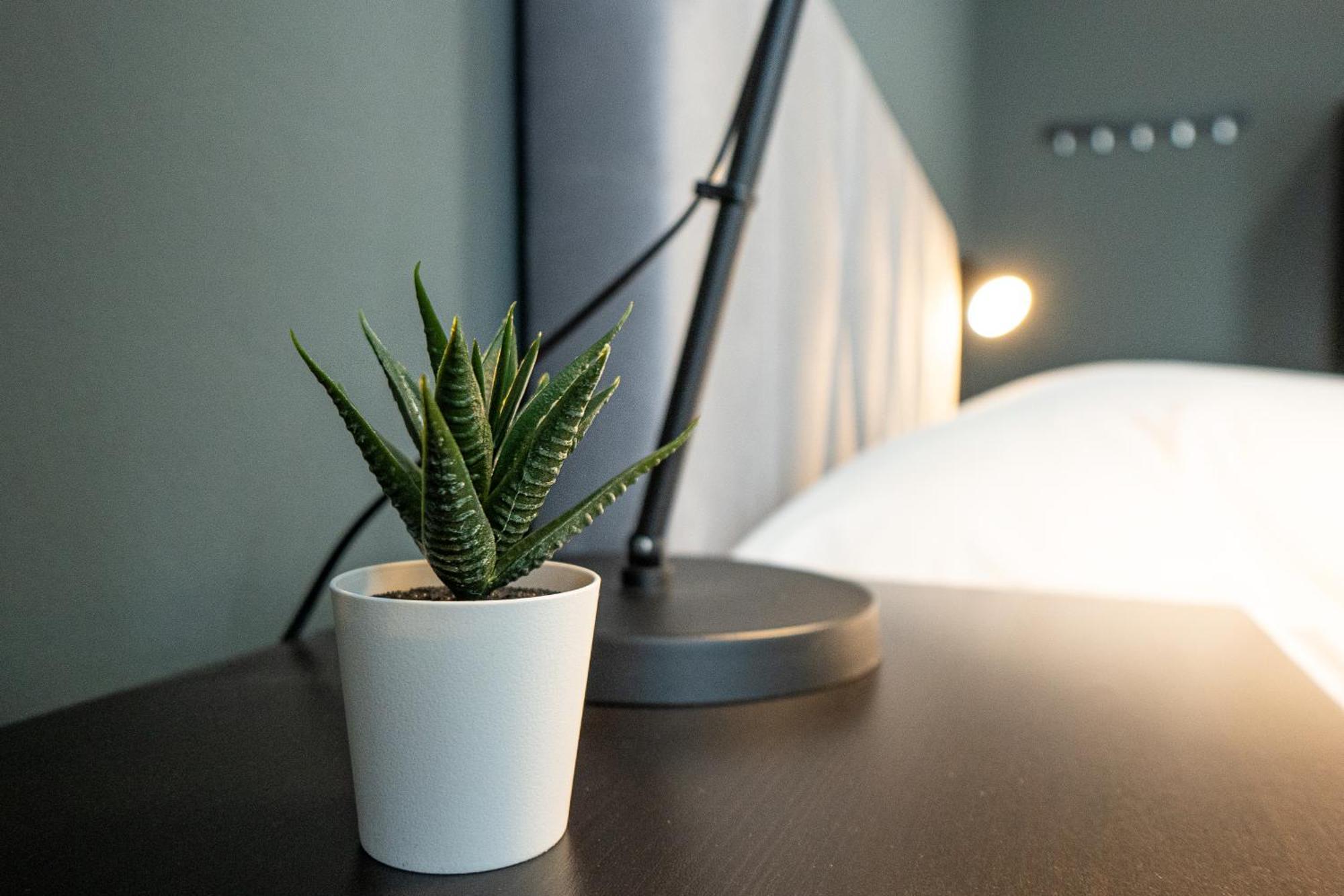 Cozy 1-br With A King Bed In A Calm Area Apartment Wien